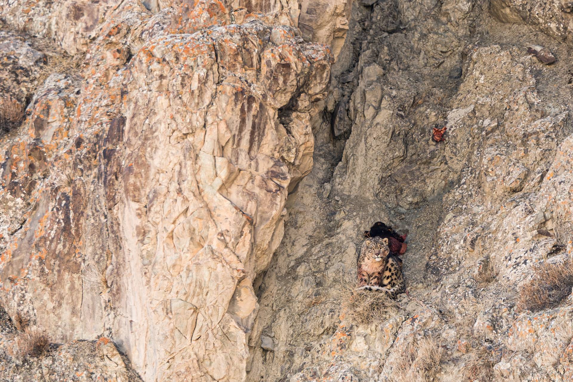 Mountaineers in Ladakh